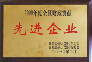 2009年度全區(qū)財政貢獻先進企業(yè).jpg