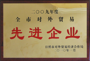 2009年度全市對外貿易先進企業(yè).jpg